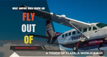 Tropic Air's Main Hub: Which Airport Does It Operate From?
