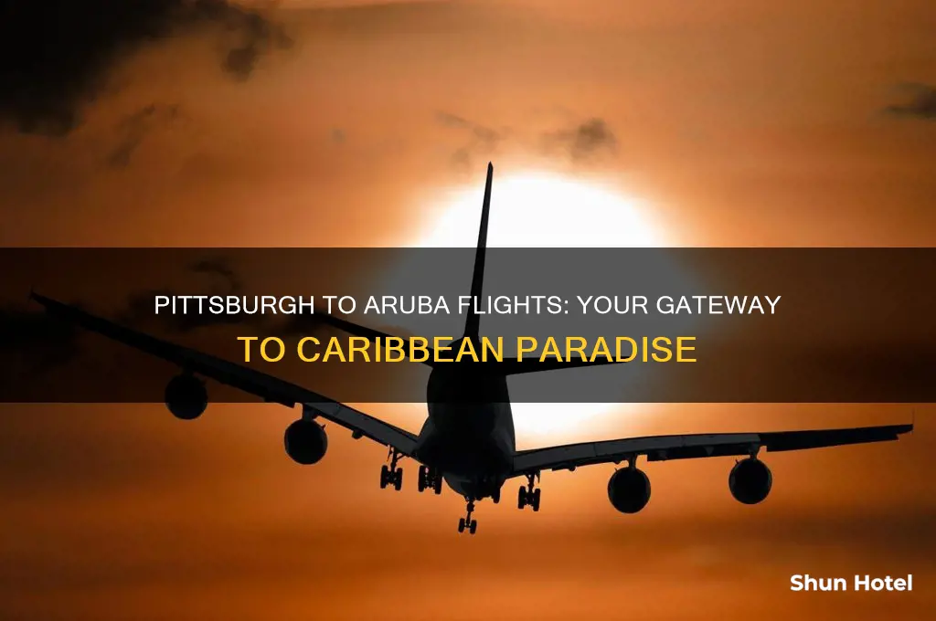 what airport flies from pittsburgh pa to aruba