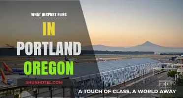 Discovering Portland Oregon's Main Airport: A Comprehensive Guide for Travelers