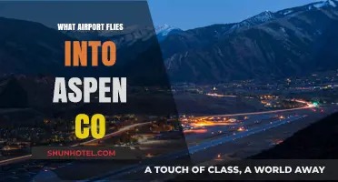 Discovering the Best Airport for Flights to Aspen, Colorado
