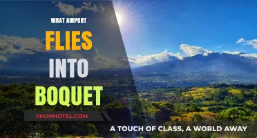 Discovering the Closest Airport to Boquete: Your Ultimate Travel Guide