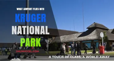 Best Airports for Flying into Kruger National Park: A Travel Guide