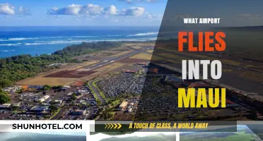 Discovering Maui: Which Airport Serves the Valley Isle?