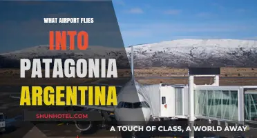 Best Airports for Flying into Patagonia Argentina: Your Ultimate Travel Guide