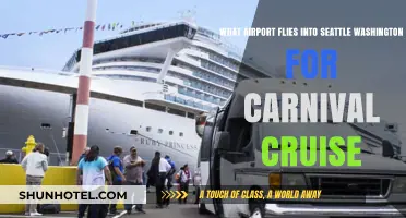 Seattle-Bound: Which Airport to Fly Into for Carnival Cruises