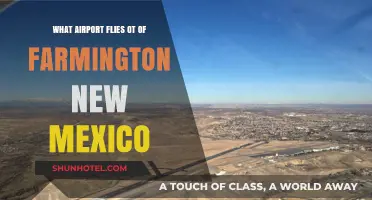 Exploring Farmington, New Mexico: Which Airport Serves the Area?