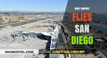 Discovering San Diego's Main Airport: Your Ultimate Travel Guide