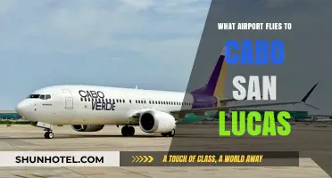 Which Airports Offer Direct Flights to Cabo San Lucas?