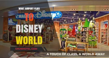 Orlando International Airport: Your Gateway to Disney World Magic