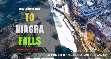 Which Airport Offers Flights to Niagara Falls? Your Travel Guide