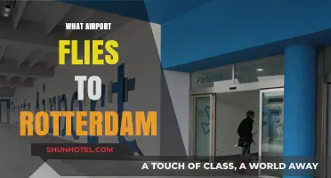 Which International Airports Offer Direct Flights to Rotterdam?
