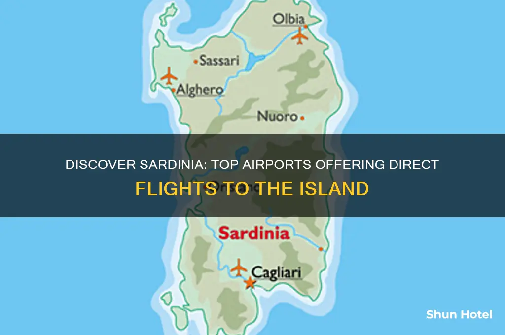 what airport flies to sardinia