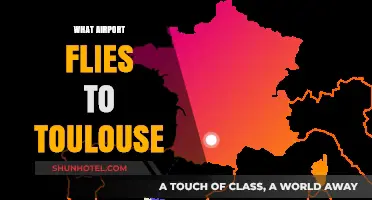 Discover Which Major Airports Offer Direct Flights to Toulouse, France