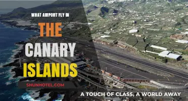 Exploring Canary Islands: Which Airports Serve the Island Paradise?
