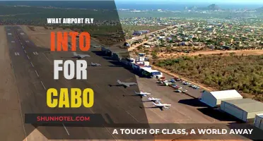 Best Airports to Fly Into for Cabo San Lucas: A Travel Guide