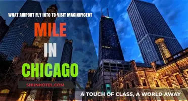 Fly into Chicago O'Hare or Midway to Visit Magnificent Mile