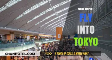 Best Airports to Fly Into Tokyo: Your Ultimate Travel Guide
