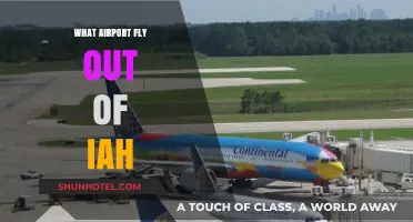 Fly from Houston: Which Airlines Operate Out of IAH Airport?