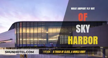 Sky Harbor Airport: Which Airlines Operate and Where They Fly