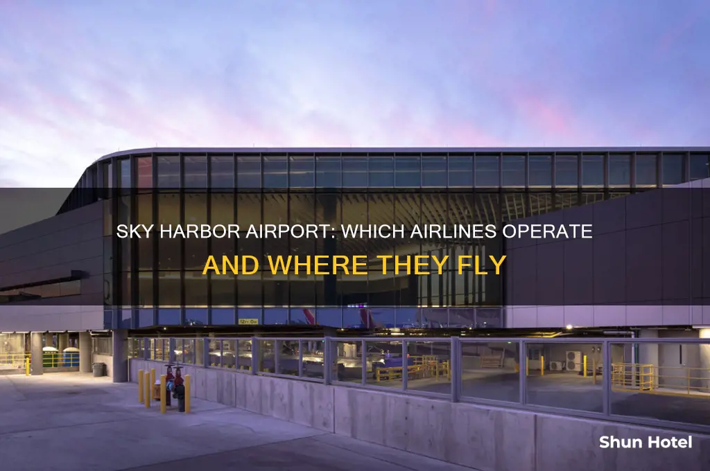 what airport fly out of sky harbor