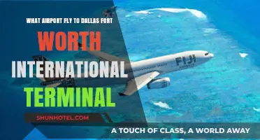 Which Airports Offer Direct Flights to Dallas Fort Worth International Terminal?
