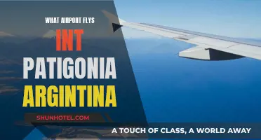 Where to Fly to Reach Patagonia, Argentina