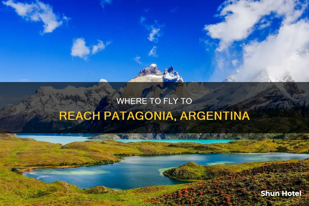 what airport flys int patigonia argintina