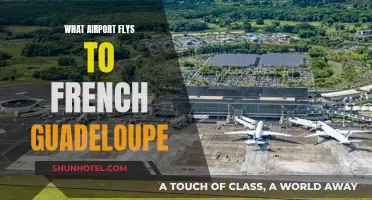 Flying to French Guadeloupe: Which Airports to Choose?