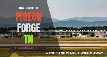 Best Airports for Pigeon Forge, Tennessee: A Traveler's Guide