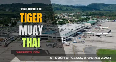 Tiger Muay Thai: Choosing the Right Airport for Your Trip