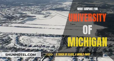 University of Michigan: Which Airport is Best?