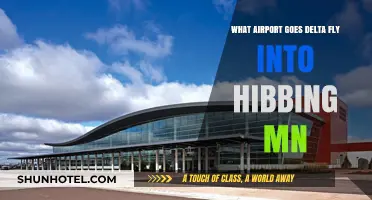 Delta Flights to Hibbing, MN: Which Airport Serves the Area?