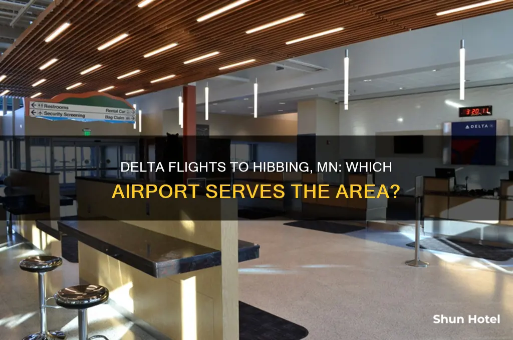what airport goes delta fly into hibbing mn
