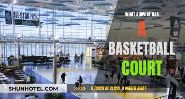 Basketball Enthusiasts' Favorite Airport Layover
