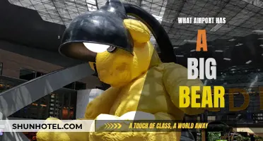The Hunt for the Big Bear Airport