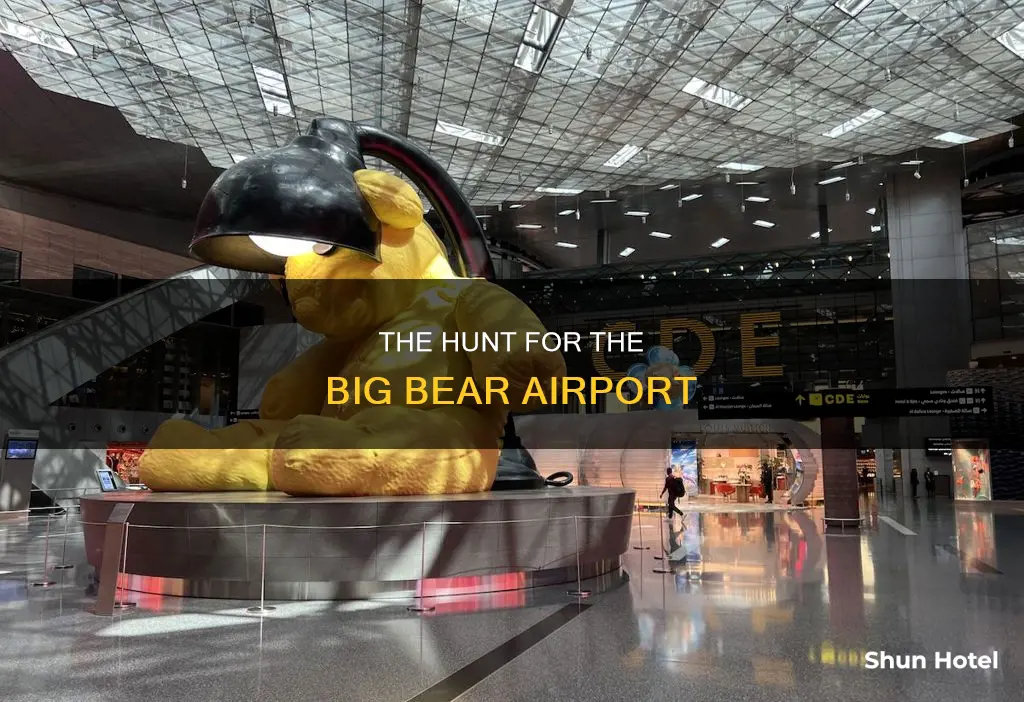 what airport has a big bear