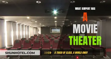 Airports with Movie Theaters: Catching Flights and Films
