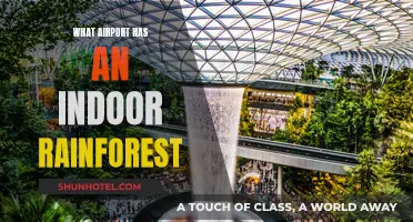The Airport with an Indoor Rainforest: A Unique Experience