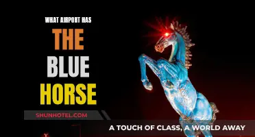 The Blue Horse: Which Airport is its Home?