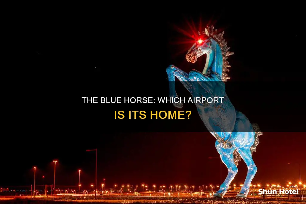 what airport has the blue horse