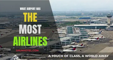 Airports with the Highest Number of Airlines Globally