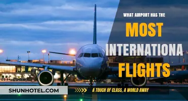 Discover the Global Hub: Which Airport Leads International Flights?