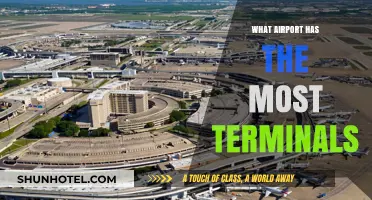 Exploring the World's Largest Airports: A Terminal Count Showdown