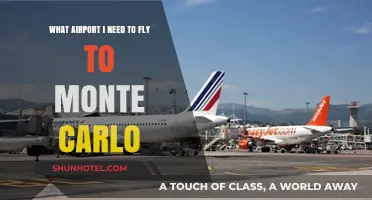 Fly to Monte Carlo: Your Essential Airport Guide