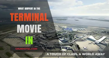 Decoding the Terminal: A Cinematic Journey Through JFK Airport