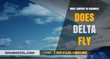 Delta's Bahamas Gateway: Which Airport Does Delta Fly To?
