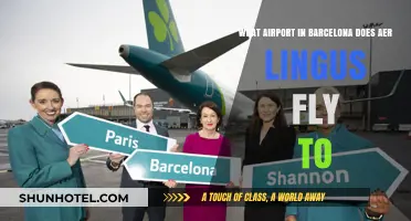 Aer Lingus Barcelona Flights: Which Airport Does It Serve?