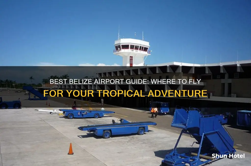 what airport in belize should i fly into