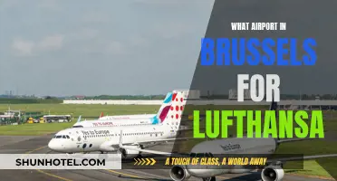 Lufthansa's Brussels Airport Hub: Which Terminal?