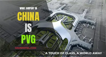 Shanghai's PVG Airport: China's Eastern Gateway